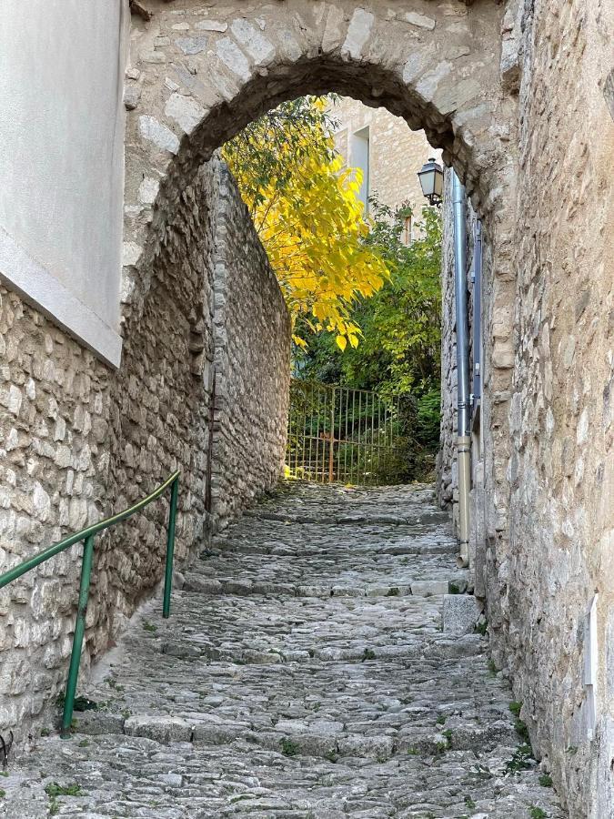 Fleurs De Provence * L'Isle-sur-la-Sorgue